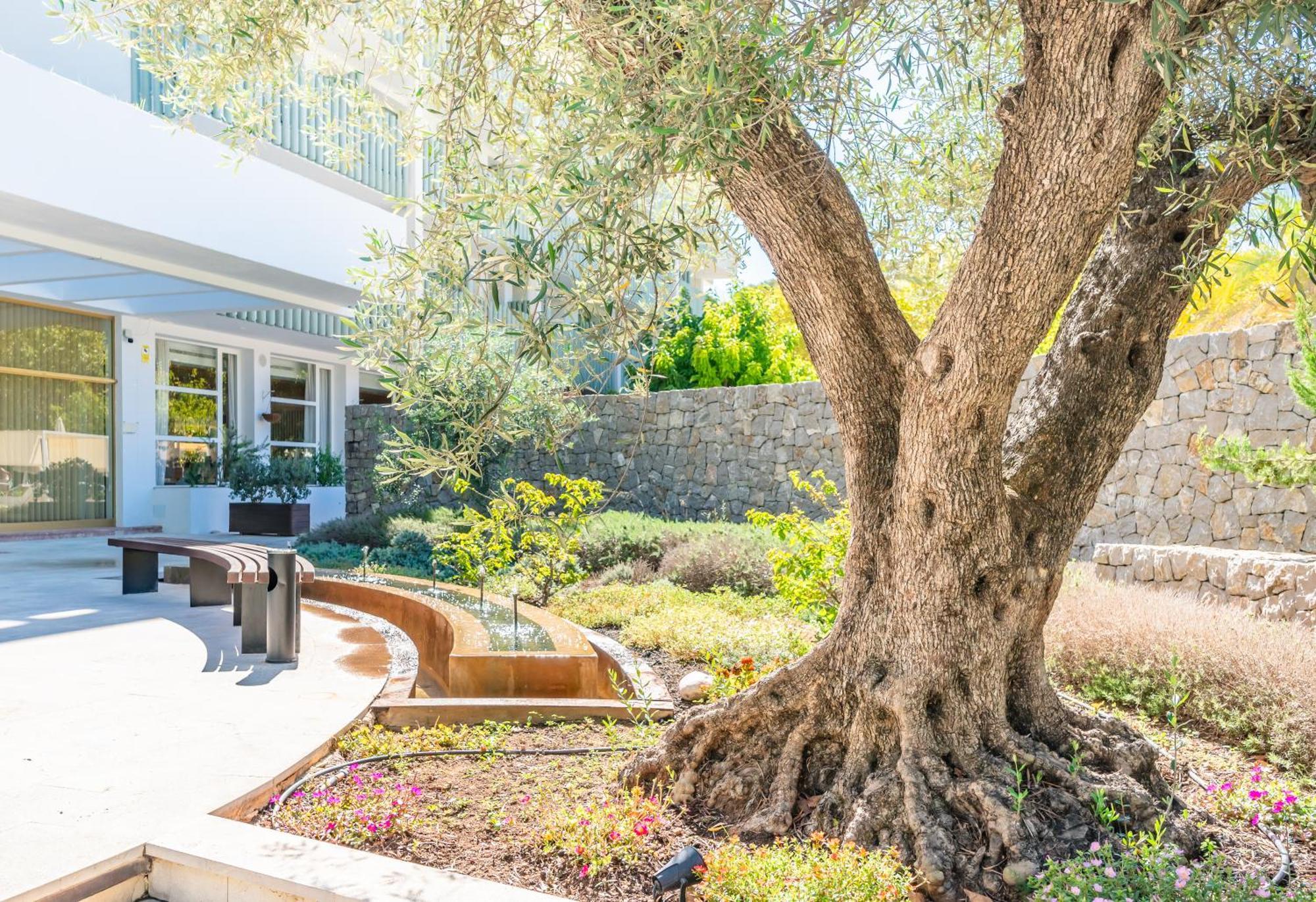 Canyamel Park Hotel & Spa - 4* Sup - Adults Only Exterior foto